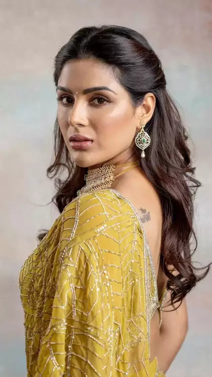 Samyuktha’s Enchanting Saree Grace You Must See