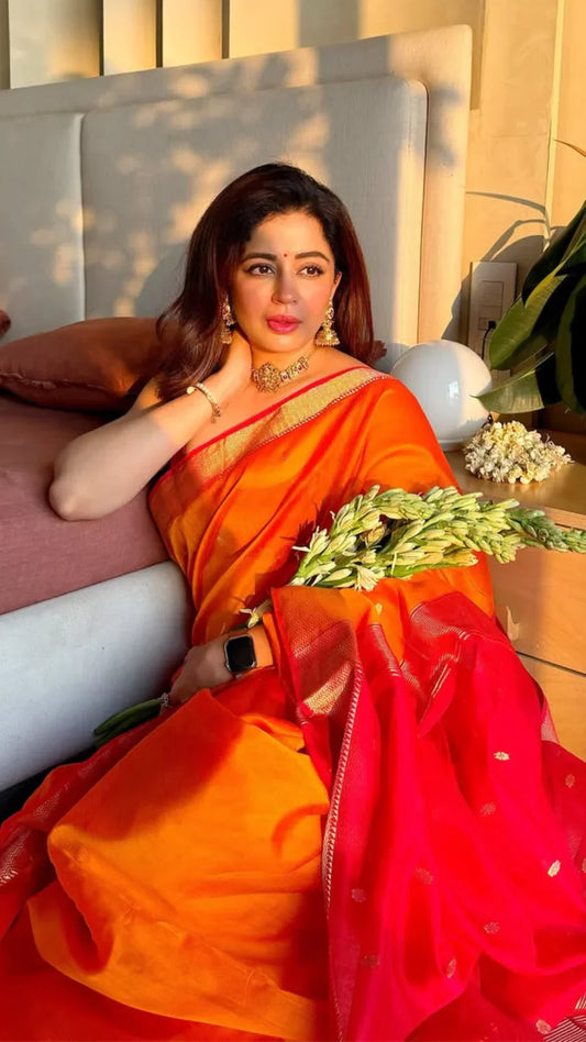 Grace in Every Hue: Nehha Pendse’s Saree Style Diaries