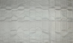 Silver Grey Self-Jaquard Kanchipuram Silk Saree