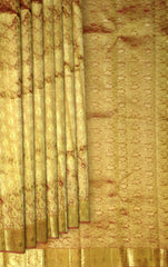 Red Tissue Kanchipuram Silk Saree with Mango Motif