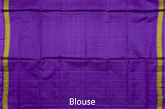 Violet Rajkot Patola Saree