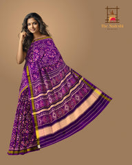 Violet Rajkot Patola Saree
