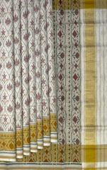 Off White Single Ikat Rajkot Patola Saree with Phool Jhaad Daliyabhat Design