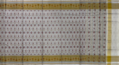 Off White Single Ikat Rajkot Patola Saree with Phool Jhaad Daliyabhat Design