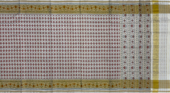 Off White Single Ikat Rajkot Patola Saree with Daliyabhat Butti Design