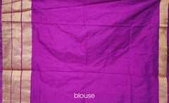 Sky Blue and Purple Peacock Design Single Ikat Handloom Pochampally Saree