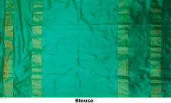 Black Green Pochampally Single Ikat Handloom Saree