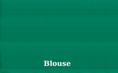 Ramar Green Borderless KPM Pure Zari Saree with Elephant Motifs