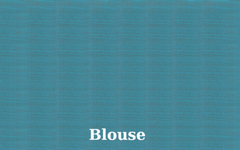 Light Green Arani Temple Br Saree with Light Blue Thalamboo Border