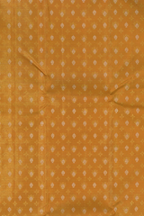 Light Orange Kanchipuram Tissue Silk Saree embossed, and intricately designed silver and gold butta on the body with leaf green contrast border and annam, grand, kuyil kan designs in pallu