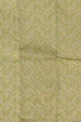 Light Green Kanchipuram Silk Saree with Tissue, Embossed, Meenakari, Brocade on the body with red contrast border and pallu featuring rudraksham, grand, creeper design with rich pallu