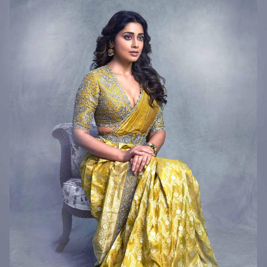 Shriya Saran Dazzles in a Mesmerizing Saree Look