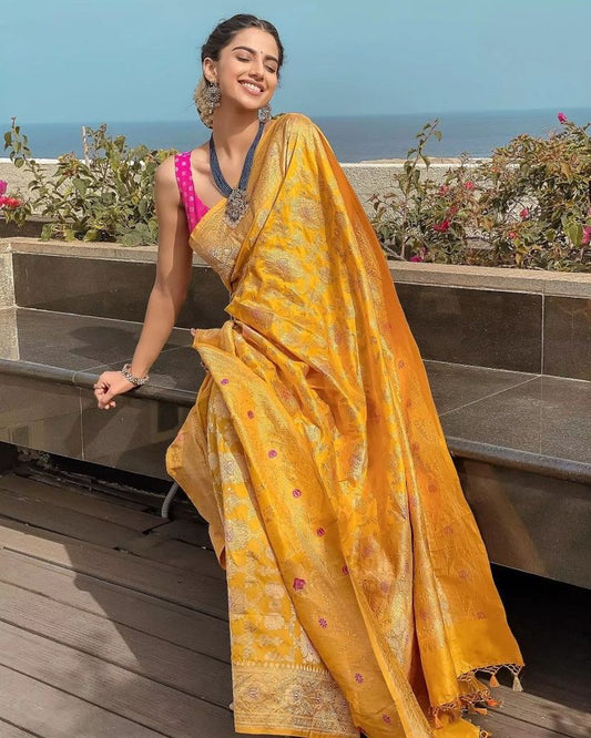 A Graceful Saree Moment with Meenakshi