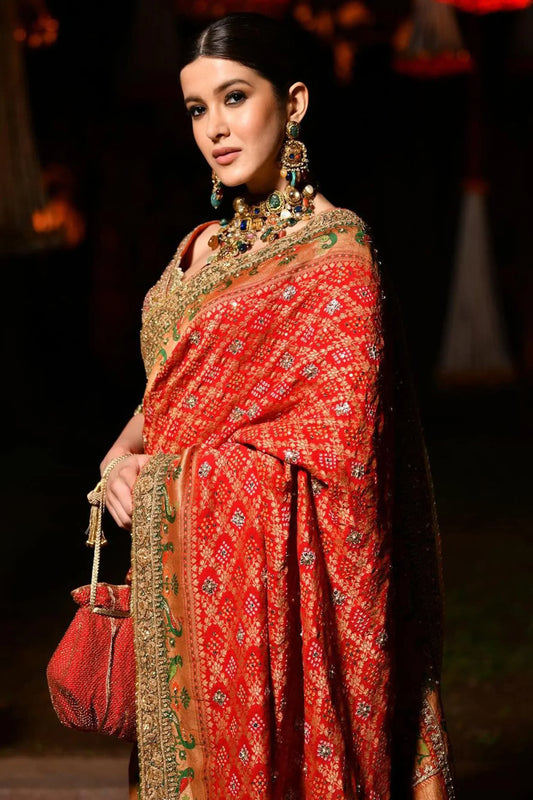 Modern Muse: Shanaya Kapoor's Saree Shines with Crystal Sophistication