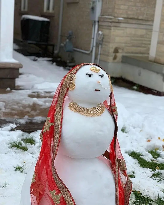 “Meet Snowpreet Kaur from Canada: A Saree-Clad Snowman That’s Breaking the Internet”
