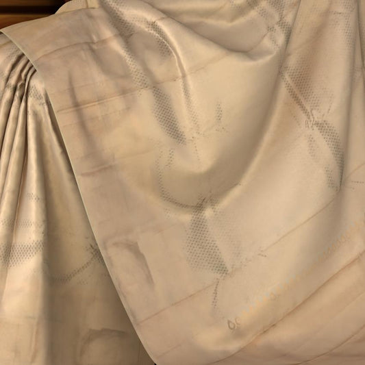 Light Pink Damon Bhutta Kanchipuram Silk Saree
