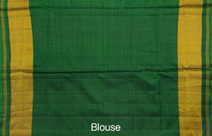 Green Single Ikat Rajkot Patola Saree with Button Phool Design