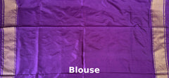Sky Blue Pochampally Ikat Saree with Purple Border and Pallu