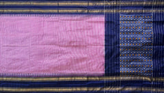 Pink Pochampally Ikat Saree with Blue Border and Pallu